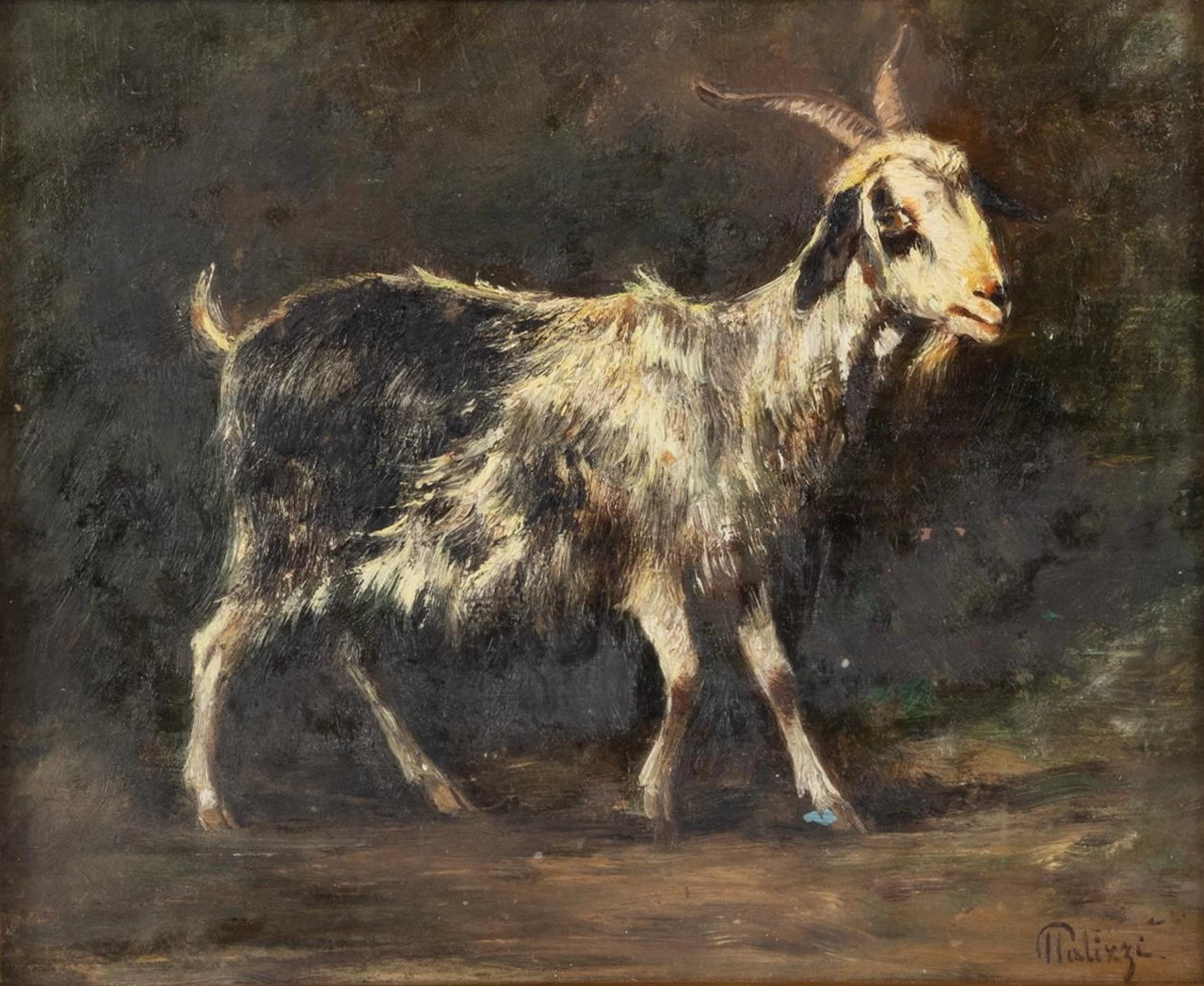 Ritratto di capra